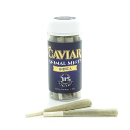 Caviar Disposable 3g — Animal Mintz